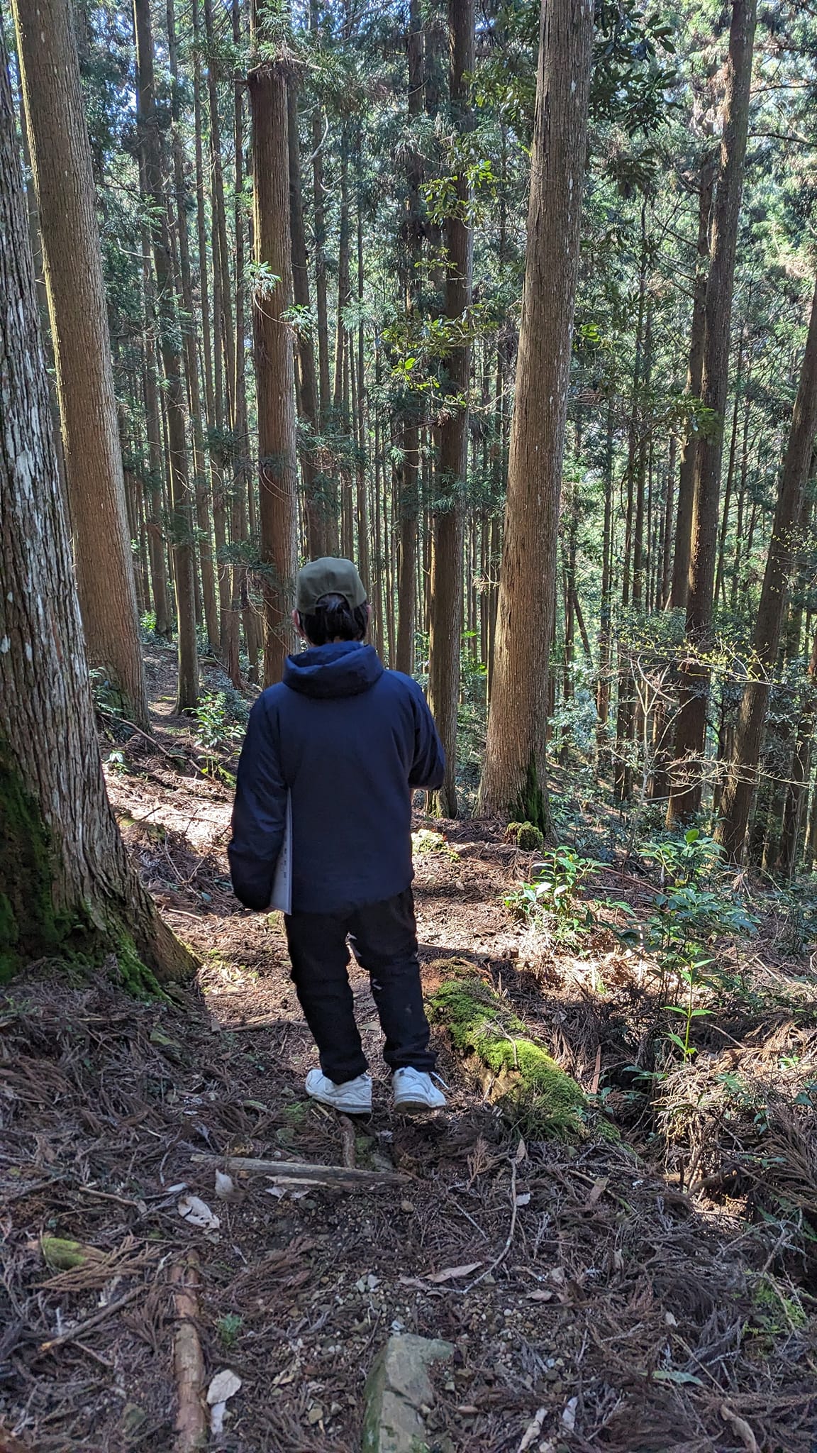 山長さんの山