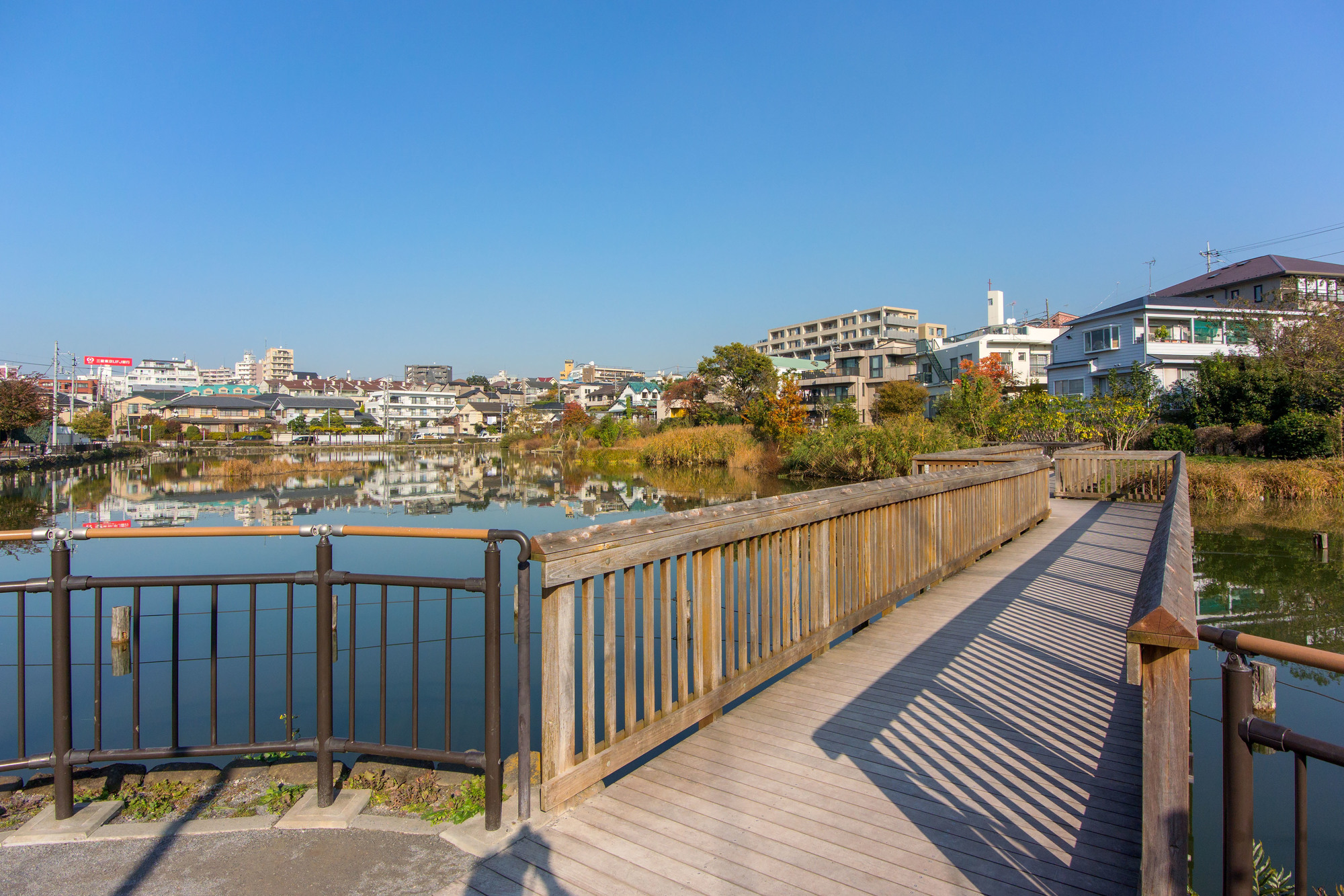 大田区上池台　小池公園の写真