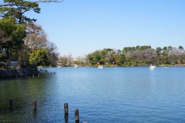 洗足池の風景